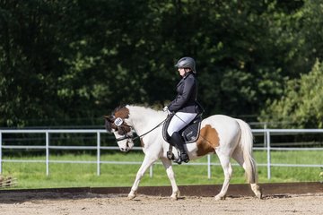 Bild 311 - Pony Akademie Turnier